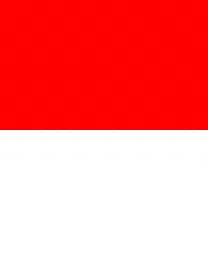 Eko Roni Saputra