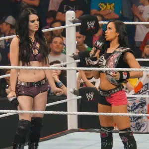 AJ Lee