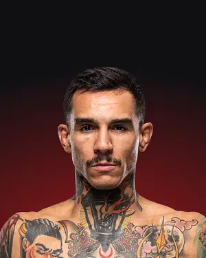 Andre Fili