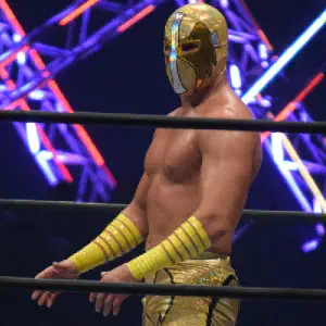 Ángel de Oro