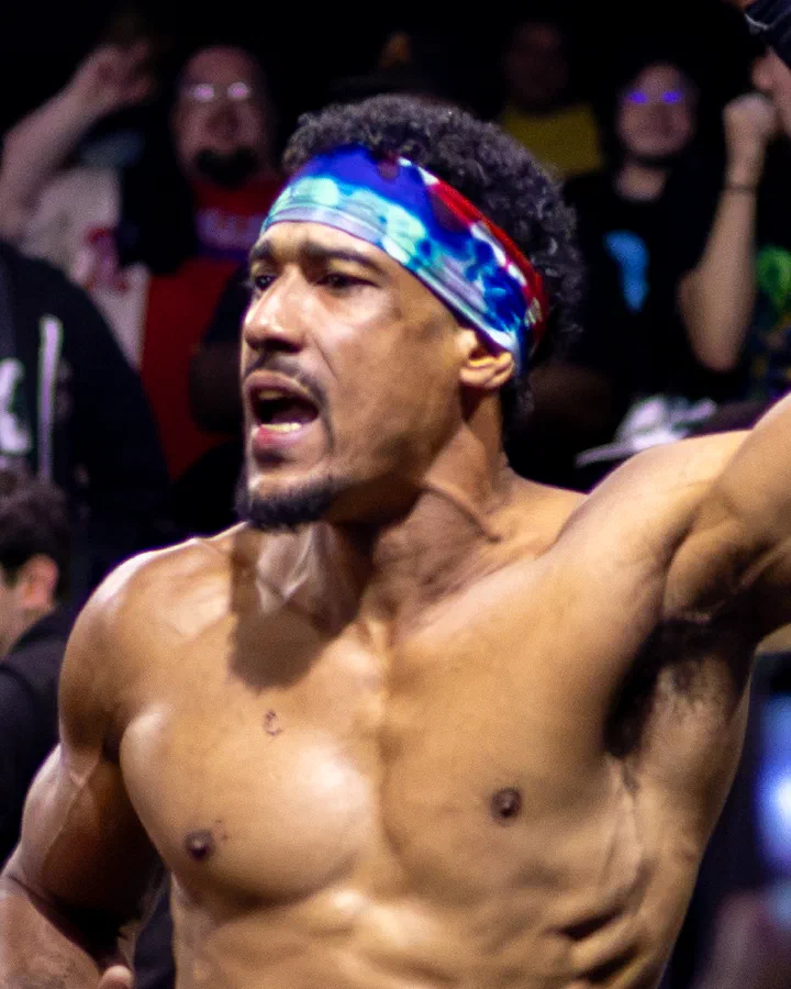 AR Fox