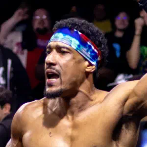 AR Fox