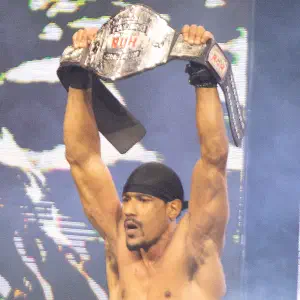 AR Fox
