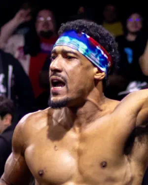 AR Fox