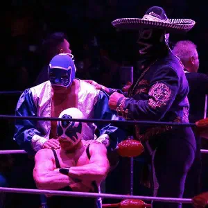 Blue Panther