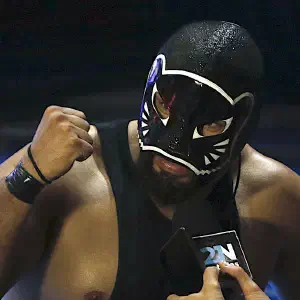 Dark Panther