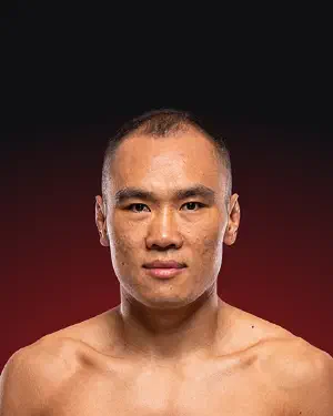 Ding Meng