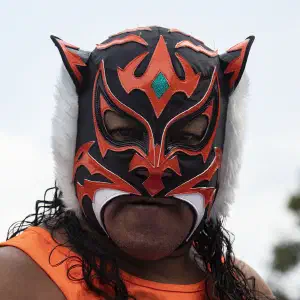 El Felino