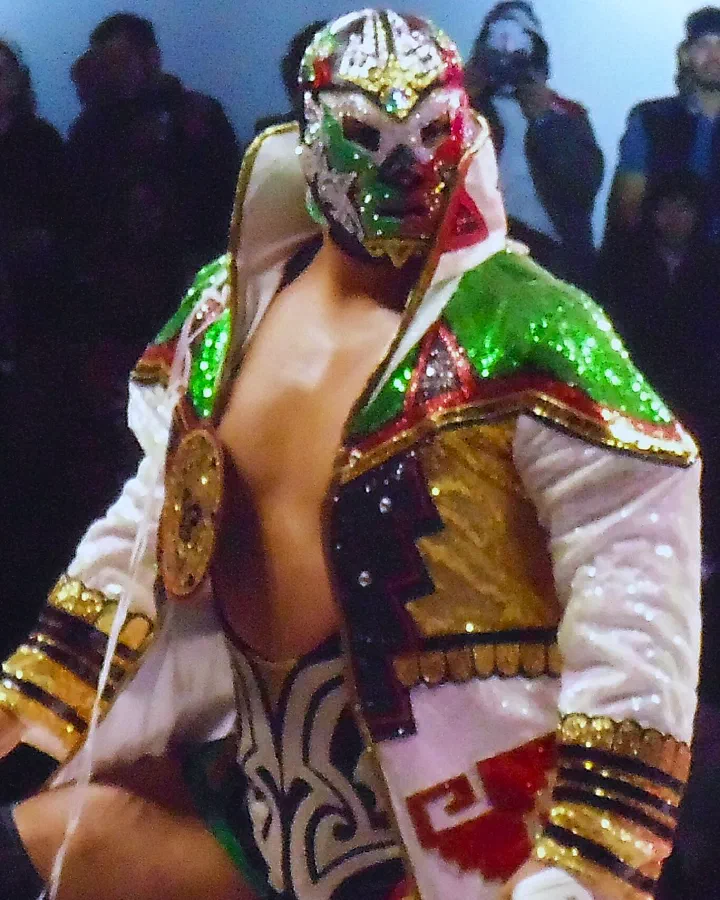El Hijo de Dr. Wagner Jr.