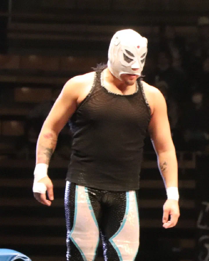 El Hijo del Pantera