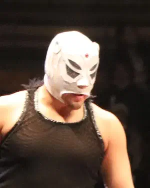 El Hijo del Pantera