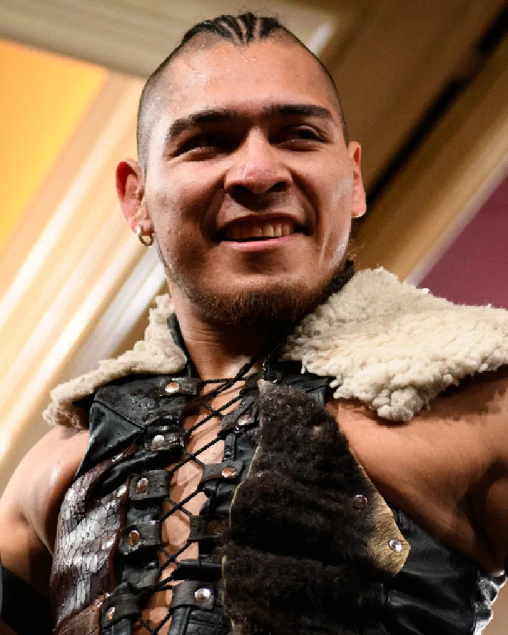 El Hijo del Vikingo