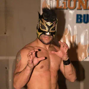 Lince Dorado