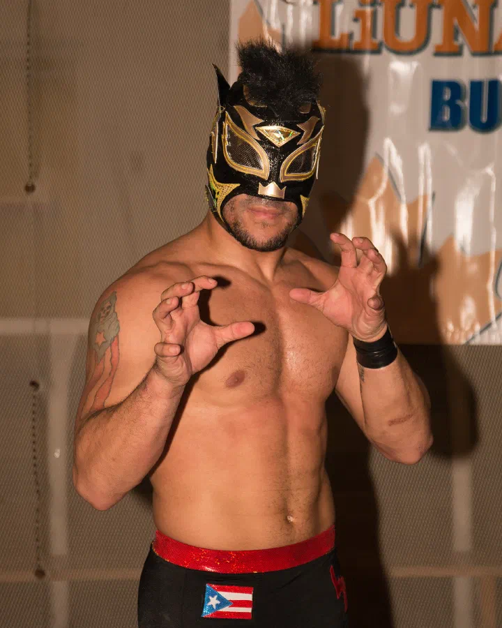 Lince Dorado