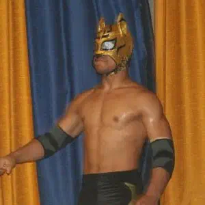 Lince Dorado