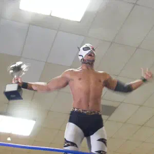 Lince Dorado