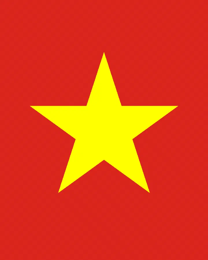 Ngoc Phu Nguyen