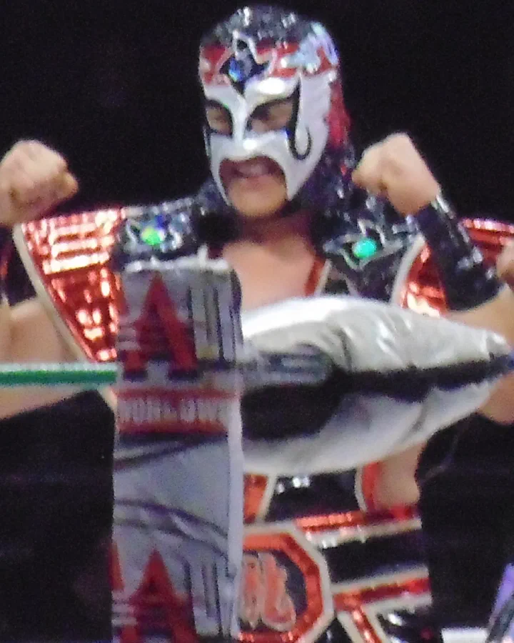 Octagón Jr.
