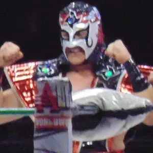 Octagón Jr.