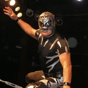 Pantera