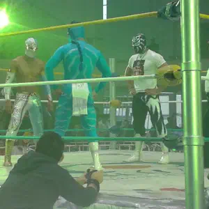 Volador Jr.