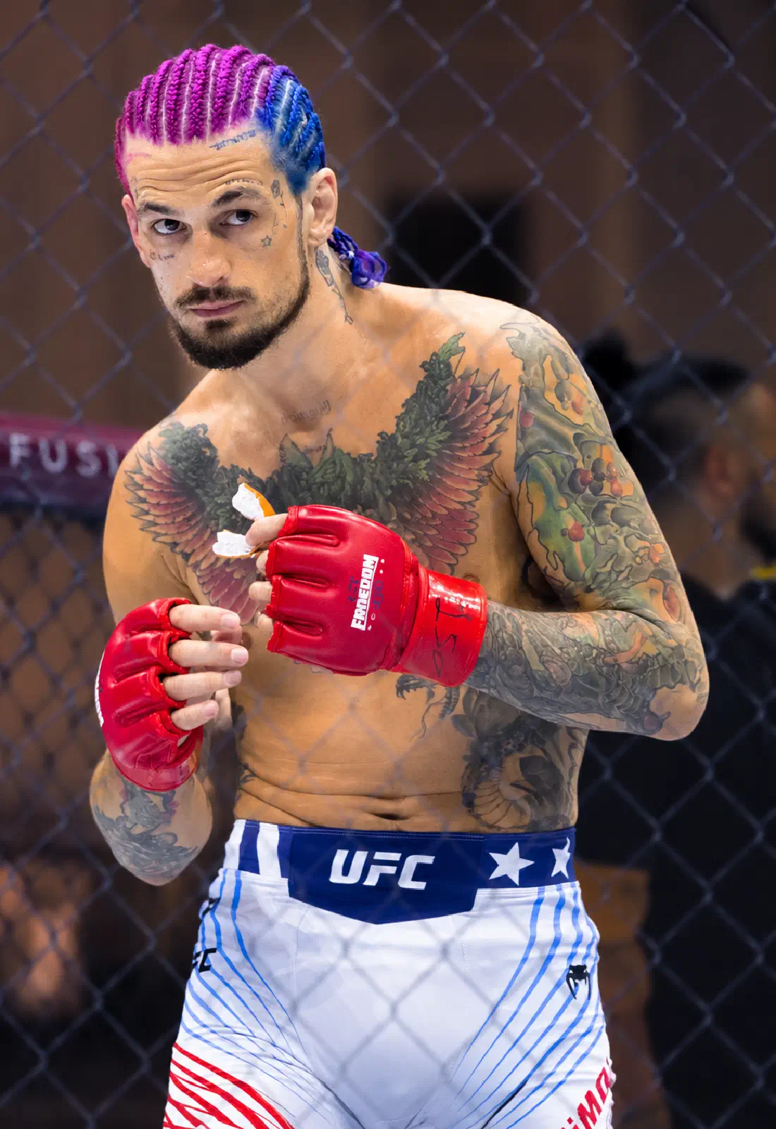 O'Malley reclama ser el próximo rival de Petr Yan por el título gallo de la UFC